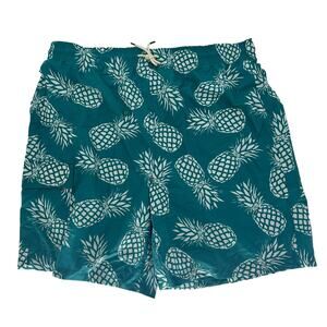 NEW Brisira Teal White Pineapple Print Swim Trunks Size 40